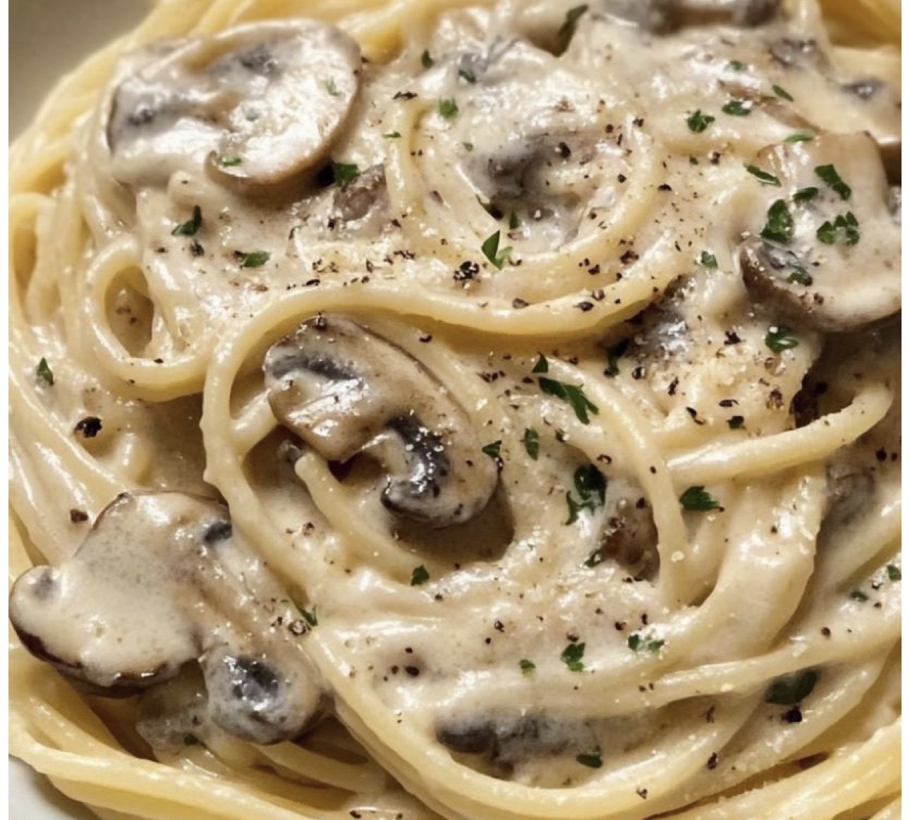Creamy Mushroom Pasta