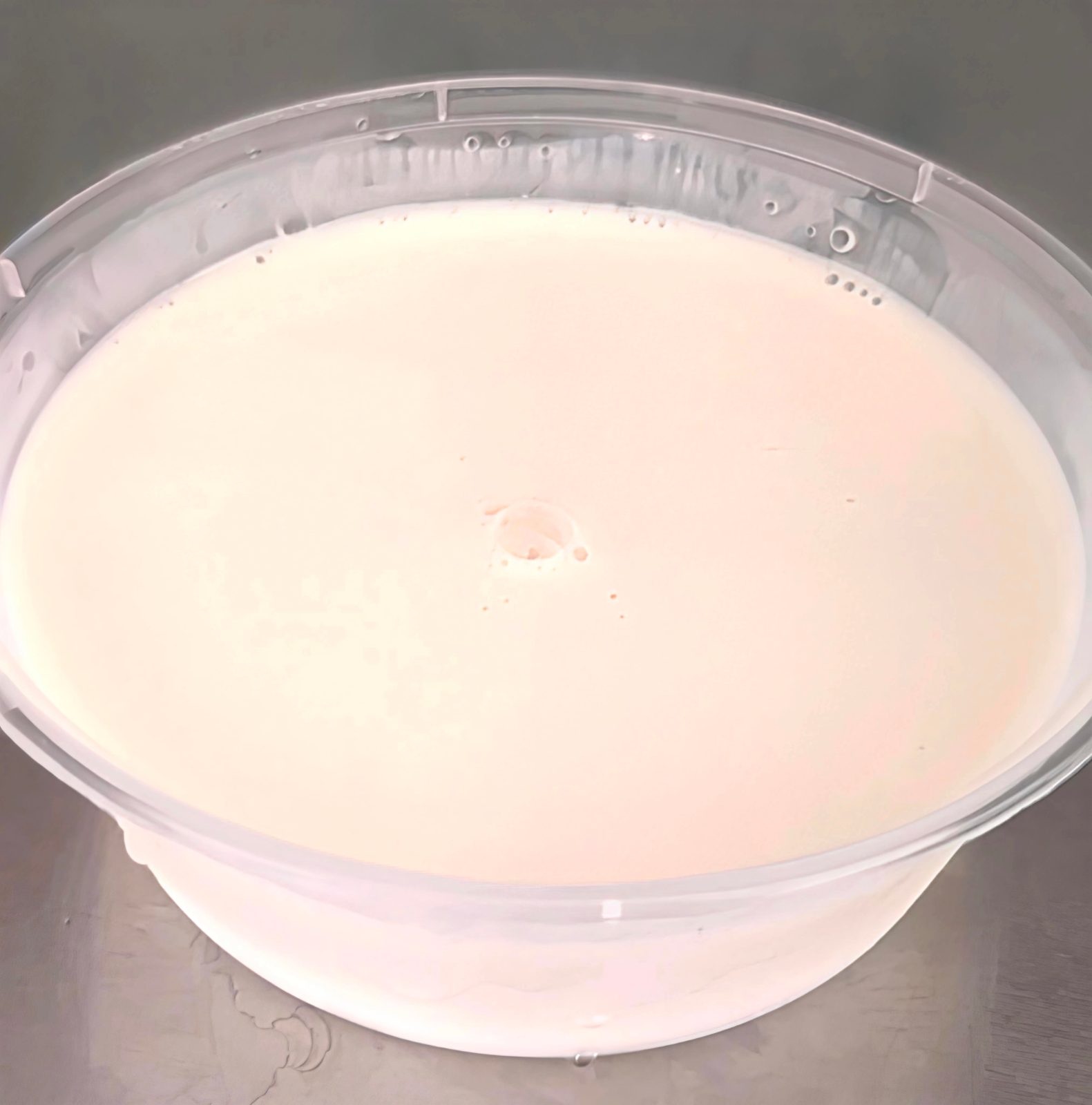 Extra Yogurt Sauce