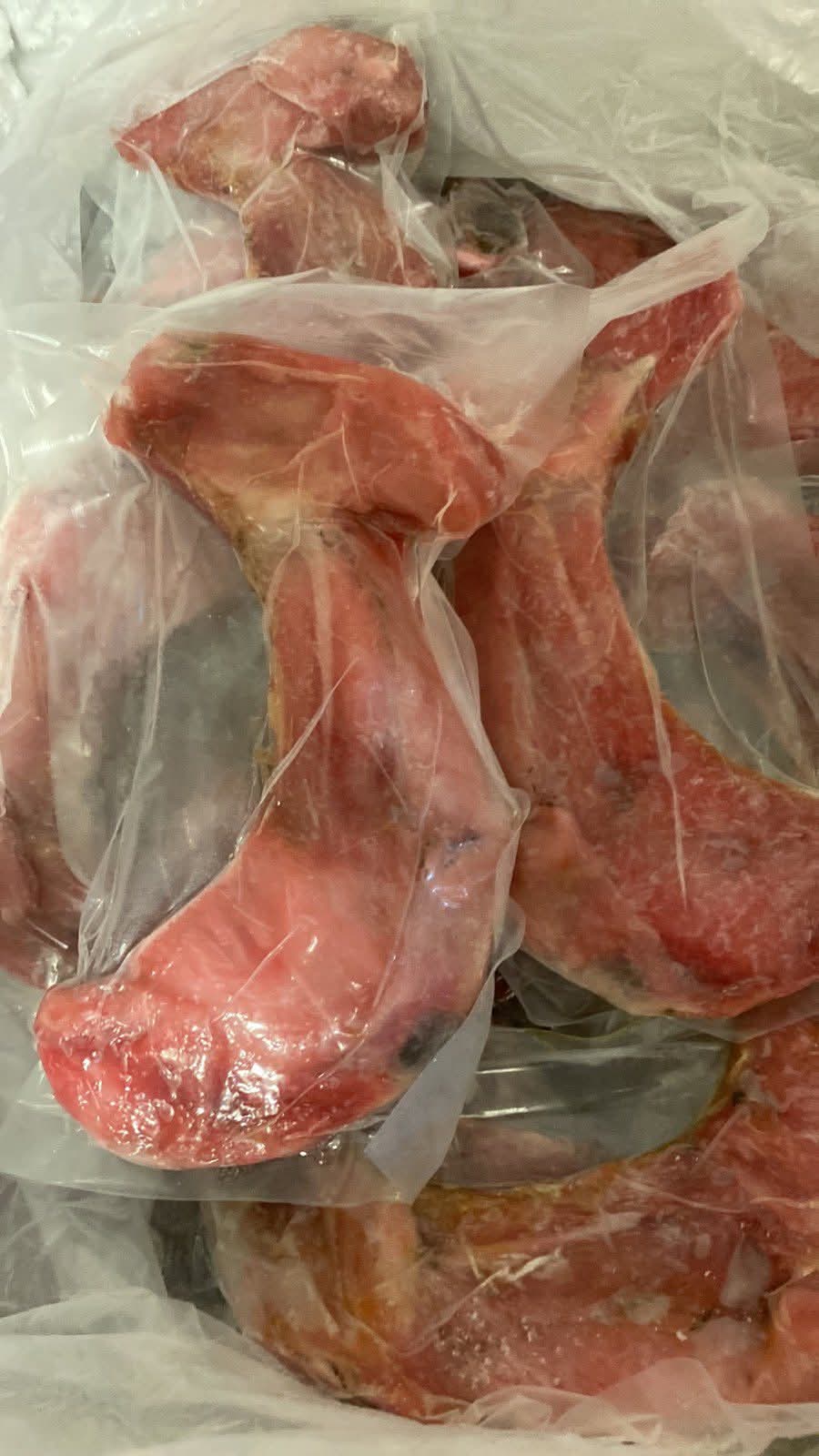 TUNA PANGA 3kilos PREMIUM