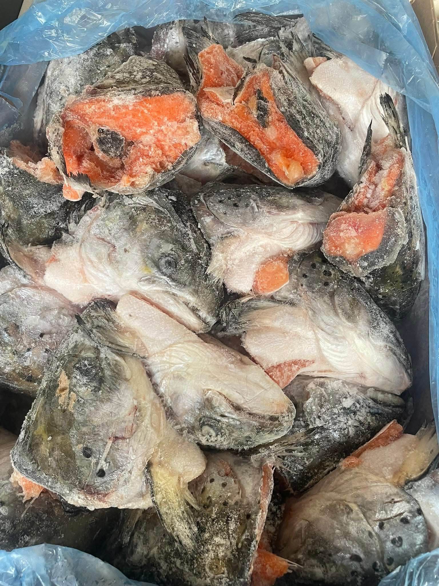 SALMON HEAD