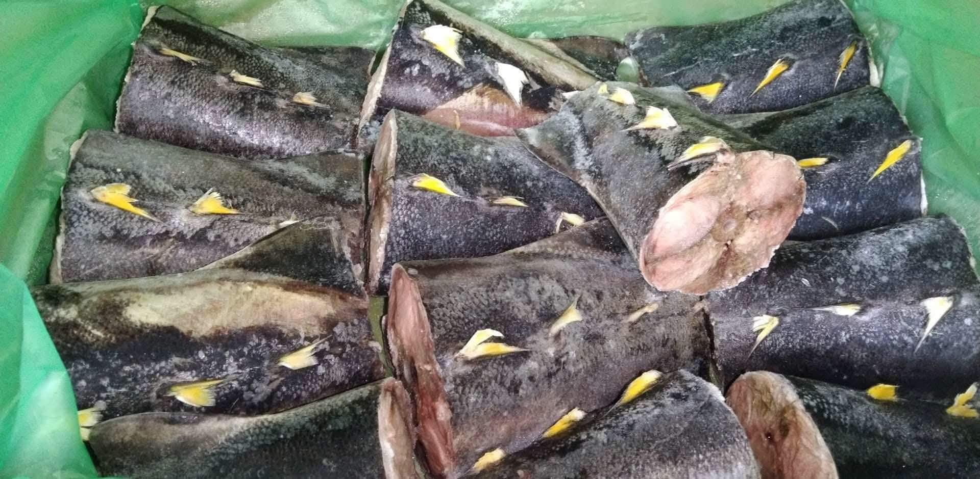 TUNA TAIL 1kilo